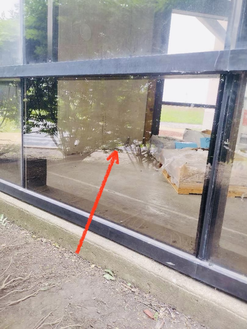 Window repair near Oak Brook Illinois